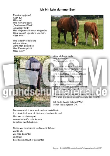 Ich-bin-kein-dummer-Esel-Text-Seite-1.pdf
